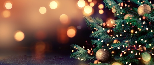 decorated Christmas tree against blurred background